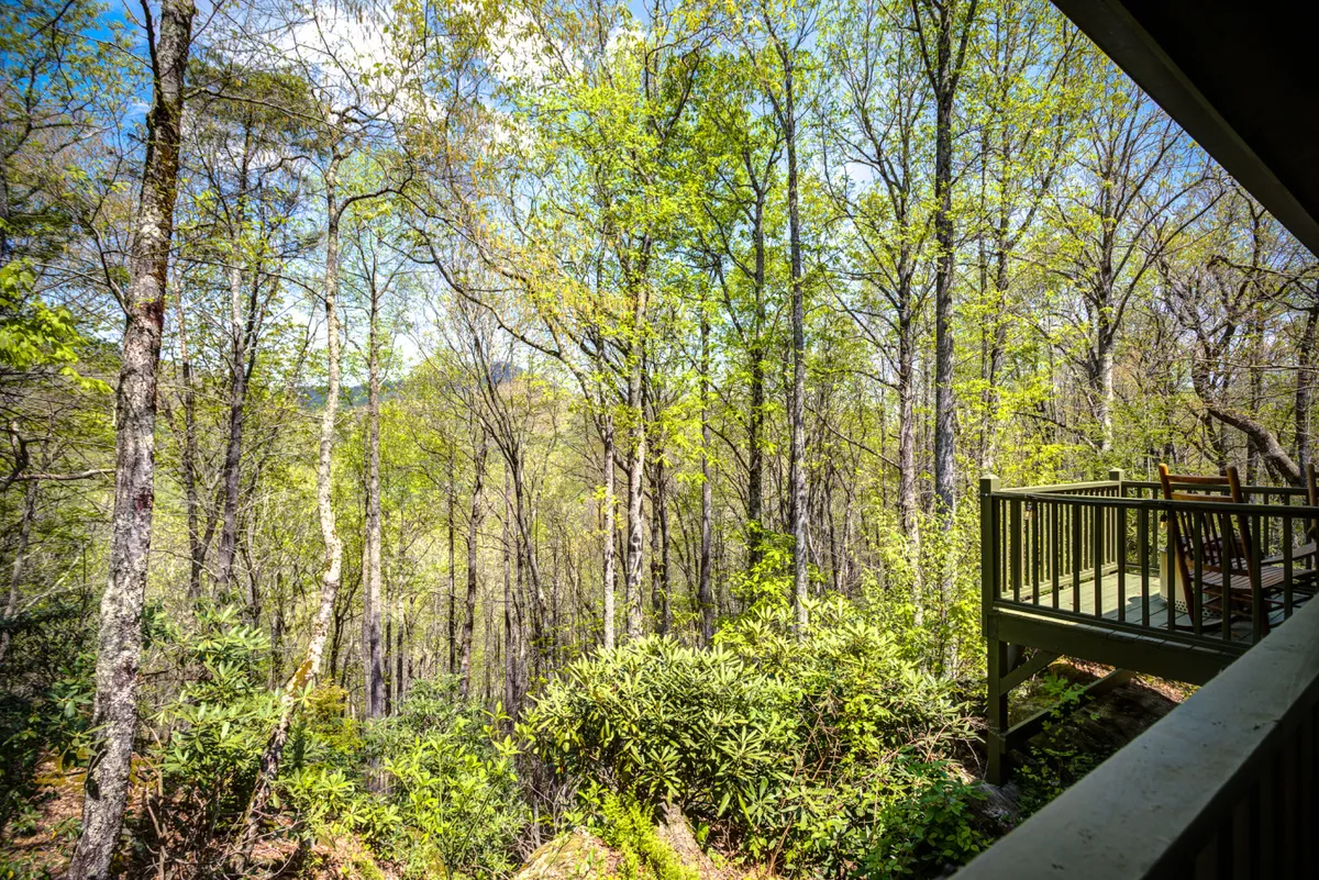A wide exterior shot of a wooden deck framed by lush greenery, with distant mountains visible on the horizon. The setting is peaceful, ideal for sunset viewing, quiet conversation, or simply taking in the surrounding natural beauty.